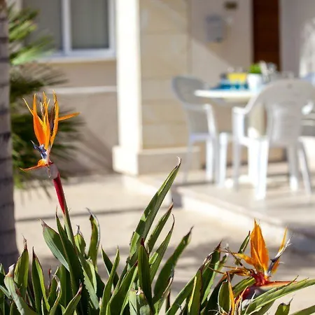 The Ultimate Guide To Renting Your 5 Star Protaras 41 * פאראלימני